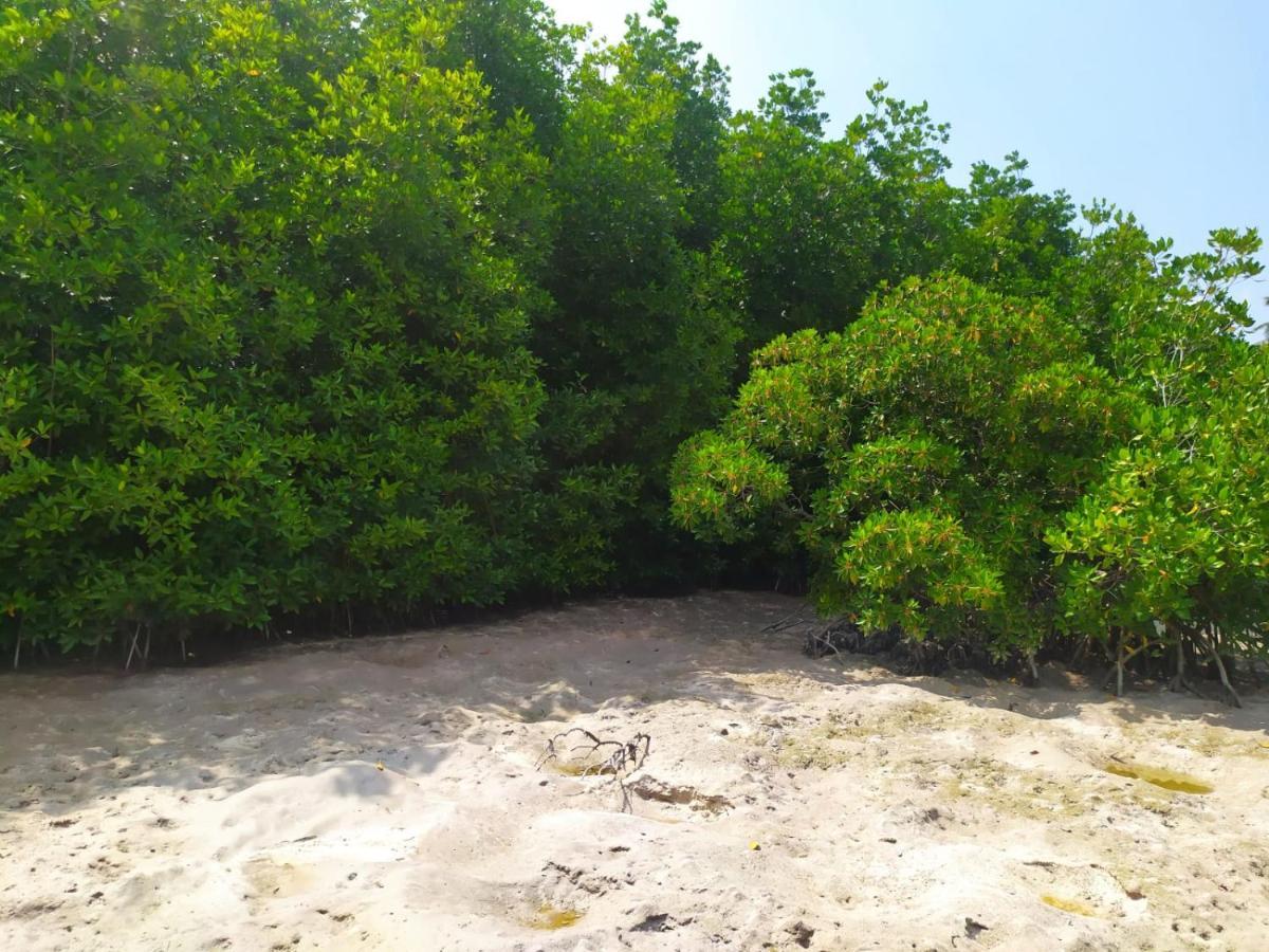 Courtyard Guesthouse Huraa Exterior photo